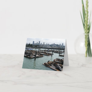 San Francisco und Pier 39 Sea Lions City Skyline Karte