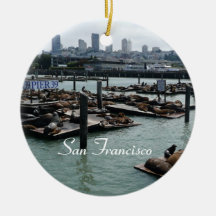 San Francisco und Pier 39 Sea Lions City Skyline