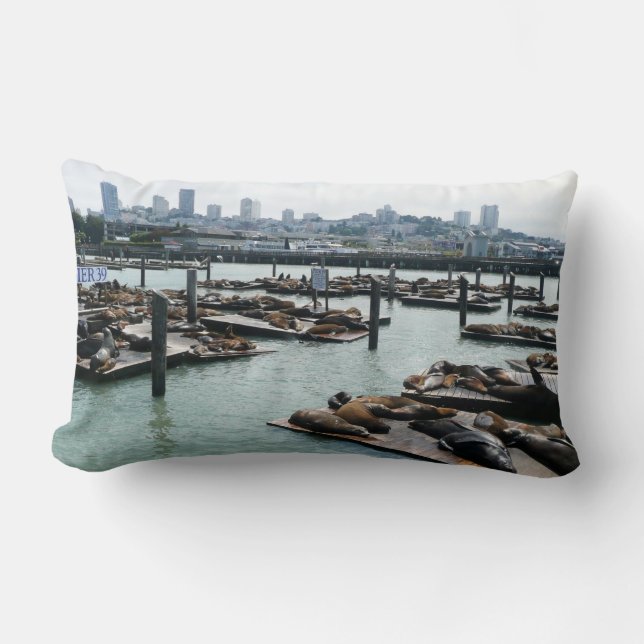 San Francisco und Pier 39 Sea Lions City Skyline Lendenkissen (Vorderseite)