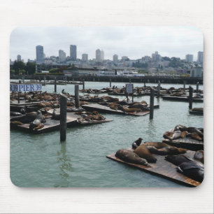 San Francisco und Pier 39 Sea Lions City Skyline Mousepad