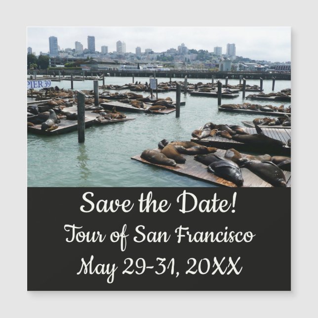 San Francisco und Pier 39 Sea Lions Save the Date Magnetkarte (Vorderseite)