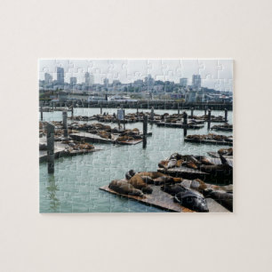 San Francisco und Pier 39 Seelöwen Stadt Skyline