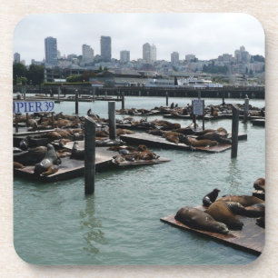 San Francisco und Pier 39 Seelöwen Stadt Skyline Getränkeuntersetzer