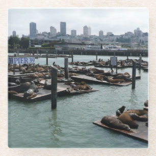 San Francisco und Pier 39 Seelöwen Stadt Skyline Glasuntersetzer