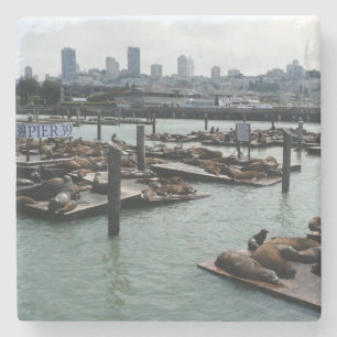 San Francisco und Pier 39 Seelöwen Stadt Skyline Steinuntersetzer