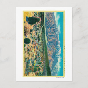 San Jacinto vom Teufelsgarten Postkarte