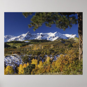 San Juan-Gebirge und Aspen-Bäume in Fallfarbe Poster