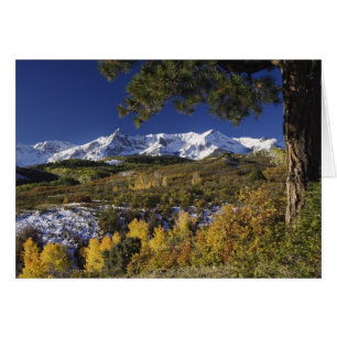 San Juan Mountains und Espen in Herbstfarben