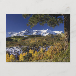 San Juan Mountains und Espen in Herbstfarben Postkarte