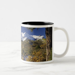 San Juan Mountains und Espen in Herbstfarben Zweifarbige Tasse