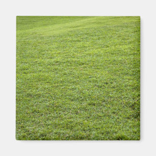 San Juan, Puerto Rico - Grünes Gras ist Magnet