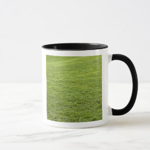 San Juan, Puerto Rico - Grünes Gras ist Tasse