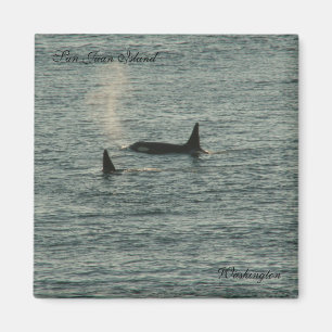 San Juans Magnet