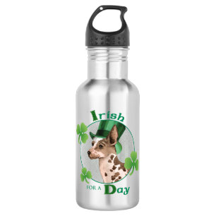 San Patrick's Day PIO Edelstahlflasche