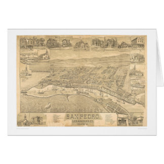 San Pedro, panoramische Karte 1895 (1319A) CA