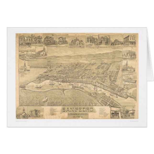 San Pedro, panoramische Karte 1895 (1319A) CA (Vorderseite (Horizontal))