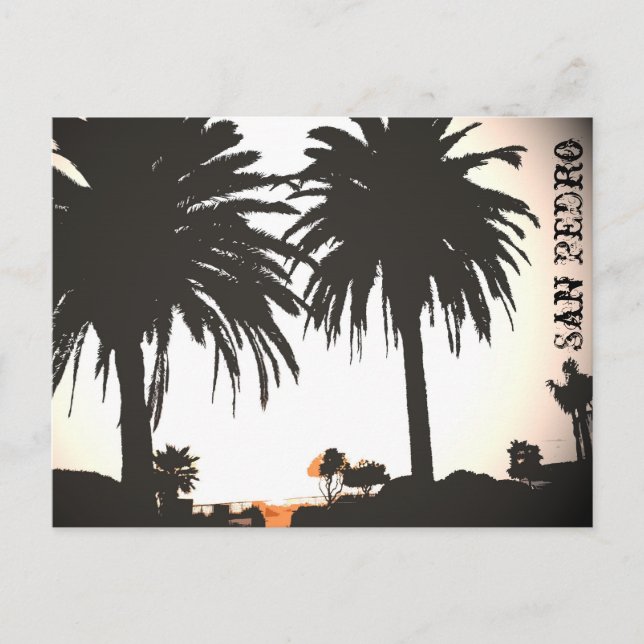 San Pedro Royal Palms Postcard Postkarte (Vorderseite)