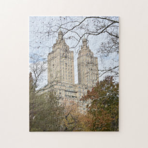 San Remo Apartments Central Park West New York NYC