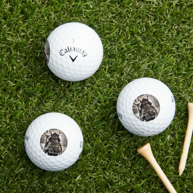 SANADA YUKIMURA ゴルフボール GOLFBALL (Insitu Gras)