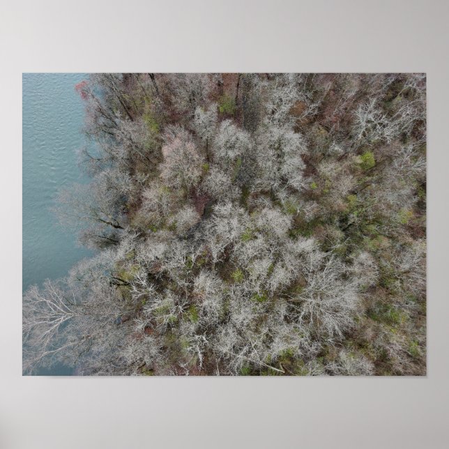 Sanatoga Woods Schuylkill River PA Poster (Vorne)