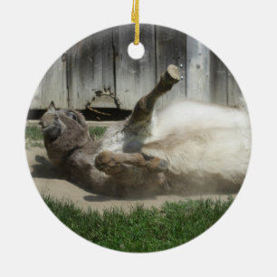 Sand Bathing Donkey Keramik Ornament