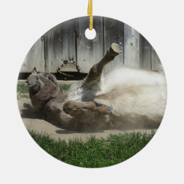 Sand Bathing Donkey Keramik Ornament (Hinten)