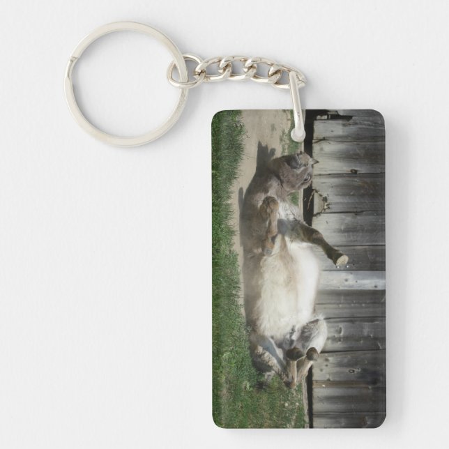 Sand Bathing Donkey Schlüsselanhänger (Vorderseite)