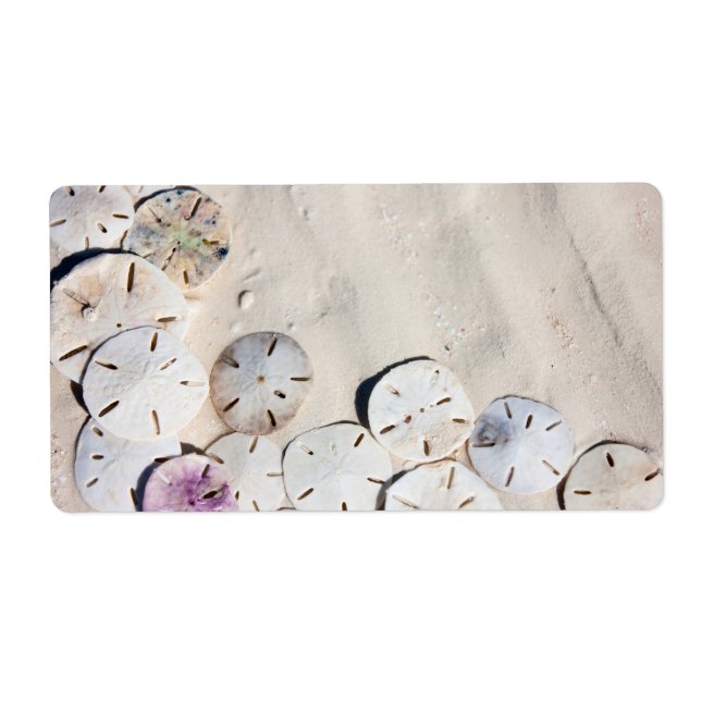 Sand Dollar (Vorne)