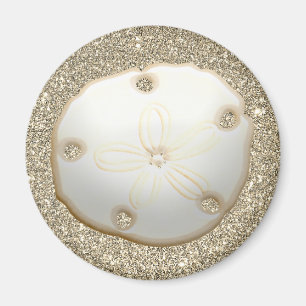 Sand Dollar auf funkelnd goldfarbenem Sandstrand Magnet