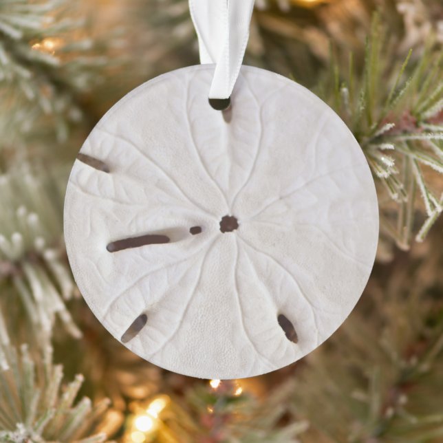Sand Dollar Beach Coastal White Round Trendy 2020 Ornament (Baum)