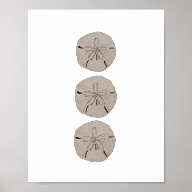 Sand Dollar Beach Deco Aquarellbilder Poster (Vorne)