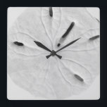 Sand Dollar Beach Küste Schwarz-weiß Trendy Cool Quadratische Wanduhr<br><div class="desc">Entworfen mit dem Bild von Sand Dollar im Hintergrund,  ist dies perfekt für Strand Haus Dekoration oder Weihnachten,  Urlaub Geschenke!</div>