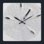 Sand Dollar Beach Küste Schwarz-weiß Trendy Cool Quadratische Wanduhr<br><div class="desc">Entworfen mit dem Bild von Sand Dollar im Hintergrund,  ist dies perfekt für Strand Haus Dekoration oder Weihnachten,  Urlaub Geschenke!</div>