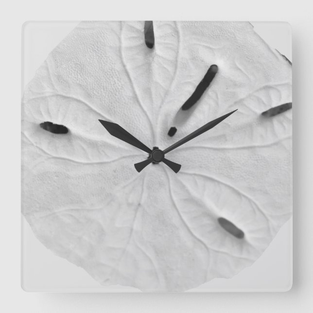 Sand Dollar Beach Küste Schwarz-weiß Trendy Cool Quadratische Wanduhr (Vorderseite)