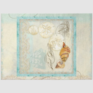 Sand Dollar Beach Seashells Art Seidenpapier