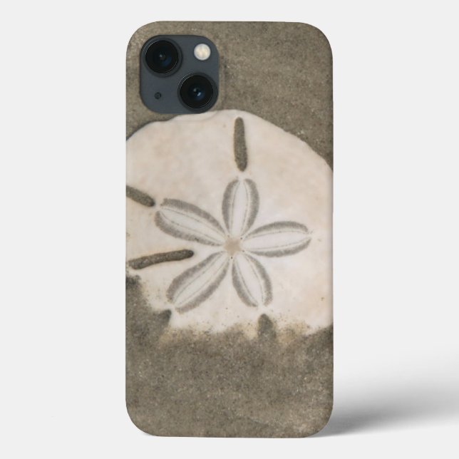 Sand Dollar (Echinarachnius parma) Case-Mate iPhone Hülle (Rückseite)