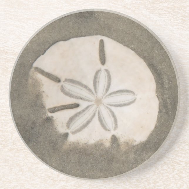 Sand-Dollar (Echinarachnius parma) Getränkeuntersetzer (Vorne)
