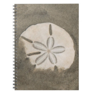 Sand-Dollar (Echinarachnius parma) Notizblock