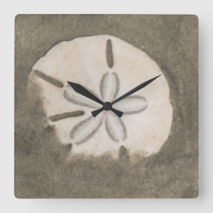 Sand dollar (Echinarachnius parma) Quadratische Wanduhr
