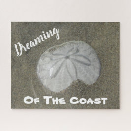 Sand-Dollar-Foto Sandstrand Naturküste