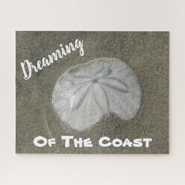 Sand-Dollar-Foto Sandstrand Naturküste (Horizontal)