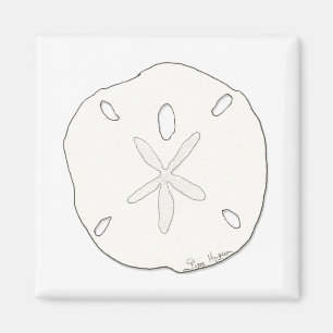 Sand Dollar Magnet