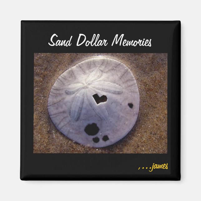 Sand Dollar Magnet (Vorne)