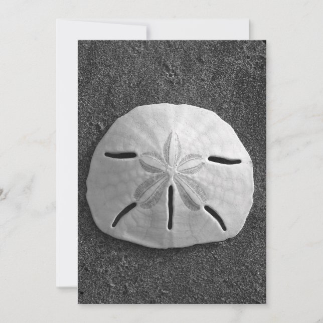 Sand Dollar Muschel Beach Einladung (B&W Foto) (Vorderseite)