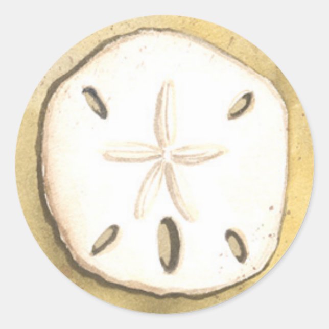 Sand-Dollar-Muschel Runder Aufkleber (Vorderseite)