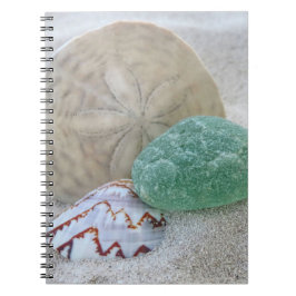 Sand Dollar, Muschel und Meerglas - Notebook Notizblock