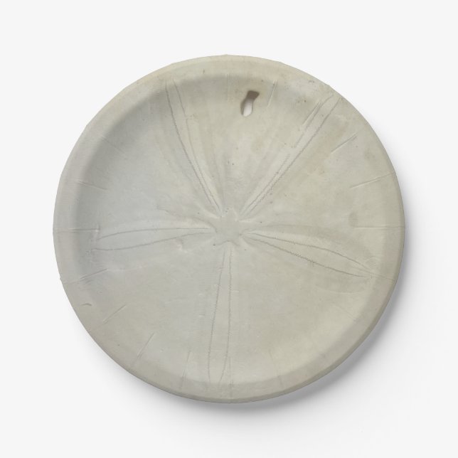 Sand-Dollar-Papierplatte Pappteller (Vorderseite)