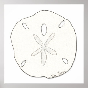 Sand-Dollar-Plakate u. Drucke