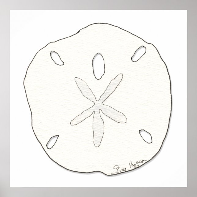 Sand Dollar Posters & Prints Poster (Vorne)