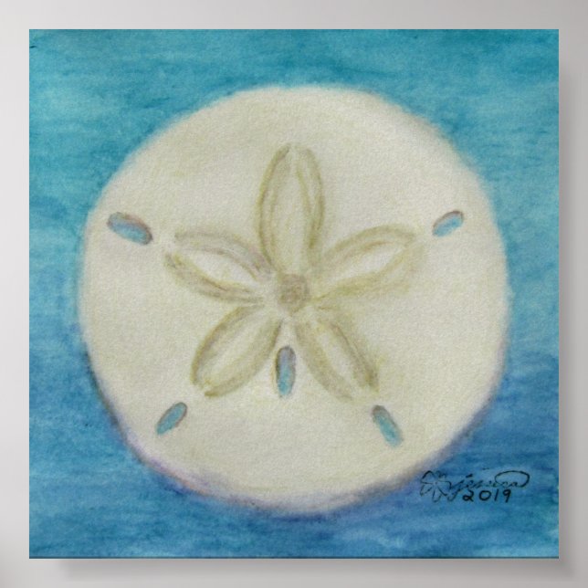 Sand Dollar Print Poster (Vorne)